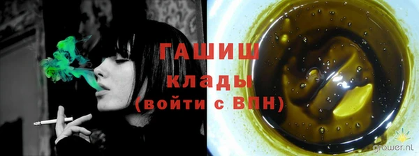 дмт Богородицк